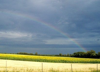 glücklich ohne Fernseher: Leben ohne Fernsehen