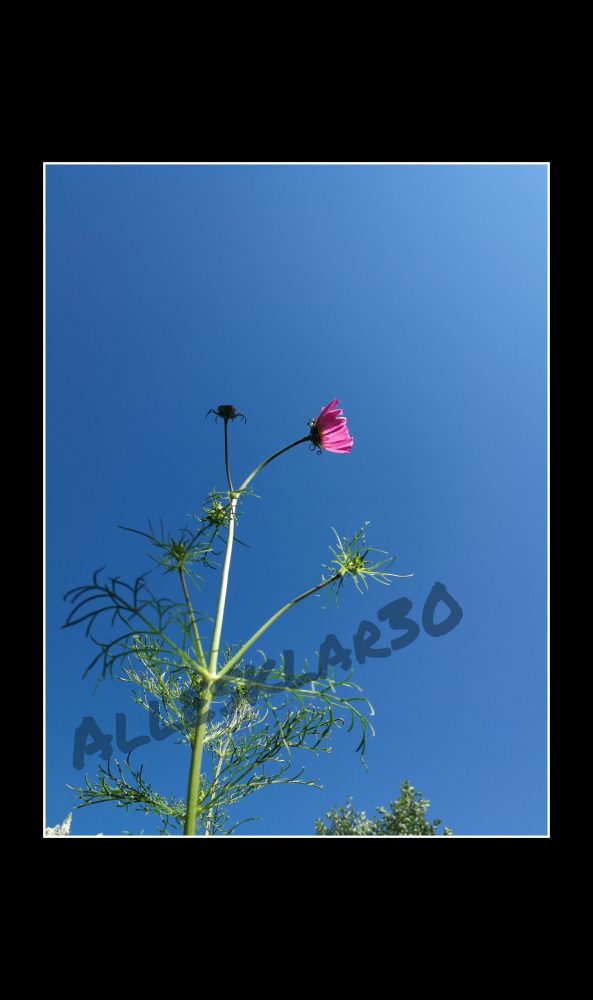 Gartenfreunde - Alle die gerne im Garten unterwegs sind... - egal